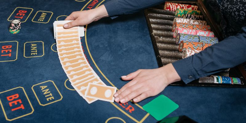 Bí kíp thắng lớn ở game bài Catte